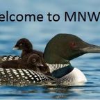 MNWis_Logo.jpg